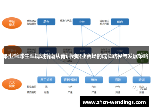 职业篮球生涯规划指南从青训到职业赛场的成长路径与发展策略