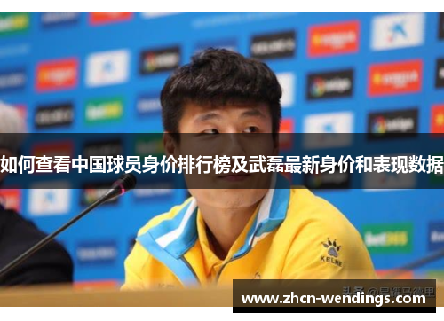 如何查看中国球员身价排行榜及武磊最新身价和表现数据
