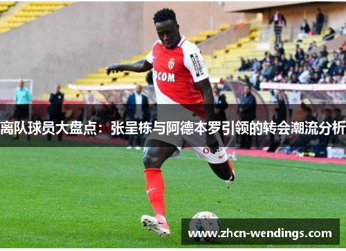 离队球员大盘点：张呈栋与阿德本罗引领的转会潮流分析