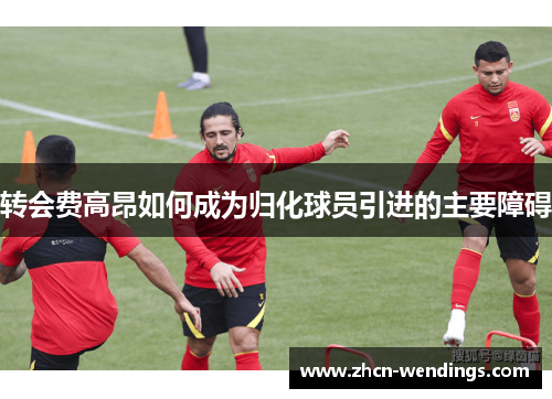 转会费高昂如何成为归化球员引进的主要障碍