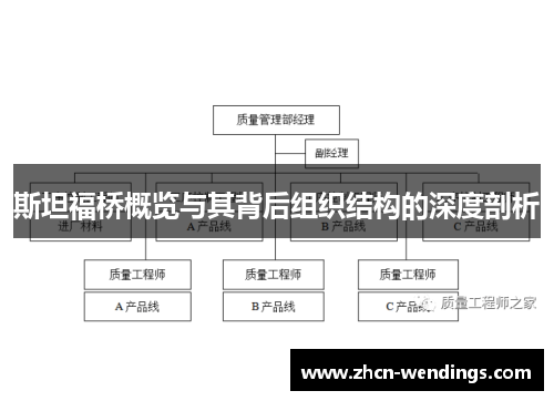 斯坦福桥概览与其背后组织结构的深度剖析