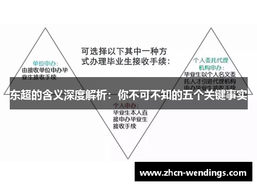 东超的含义深度解析：你不可不知的五个关键事实