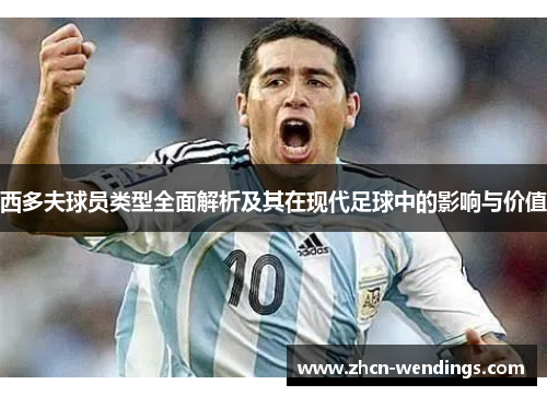 西多夫球员类型全面解析及其在现代足球中的影响与价值