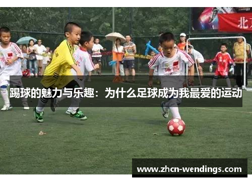 踢球的魅力与乐趣：为什么足球成为我最爱的运动
